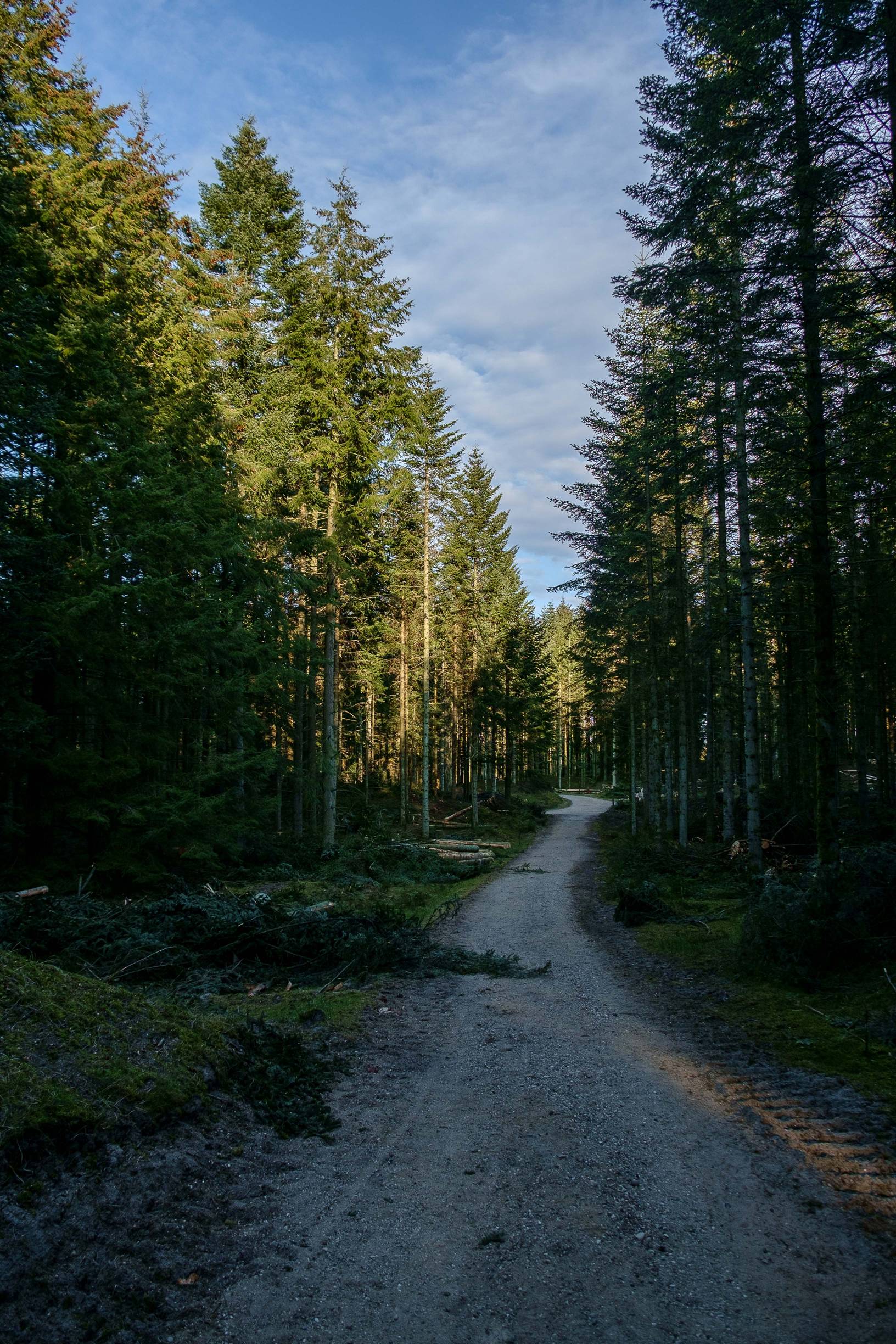 Trip to Fosdal and Langdal in Tranum, Denmark with the X-Pro1