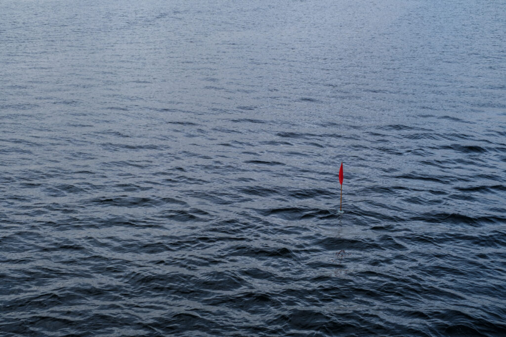 A grey november day in Aalborg