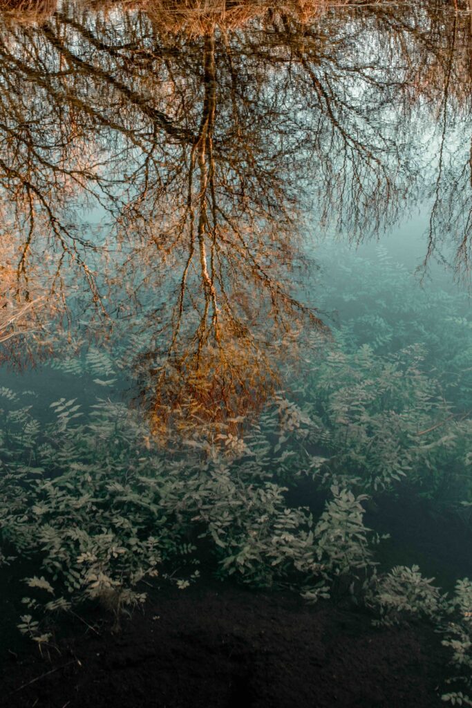 Trying out Landscape Photography